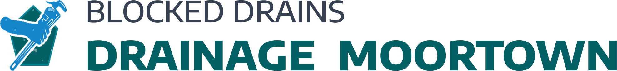website logo